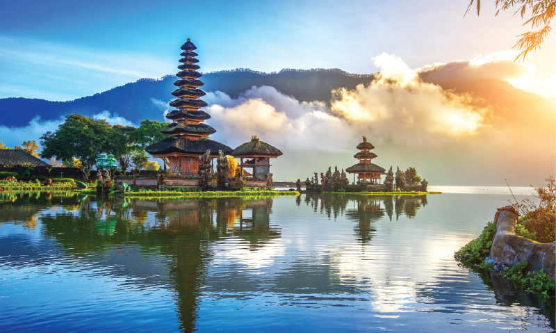 Exotic Paradise Is Calling Exotic Paradise Is Calling