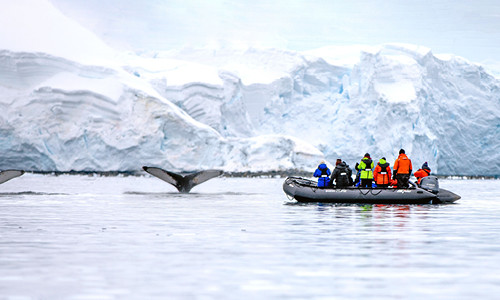 Explorez l'Antarctique