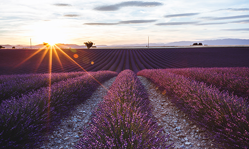 France - Travel Guide