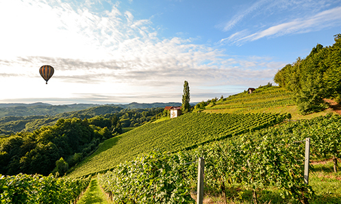 France - What to wear, eat, and buy