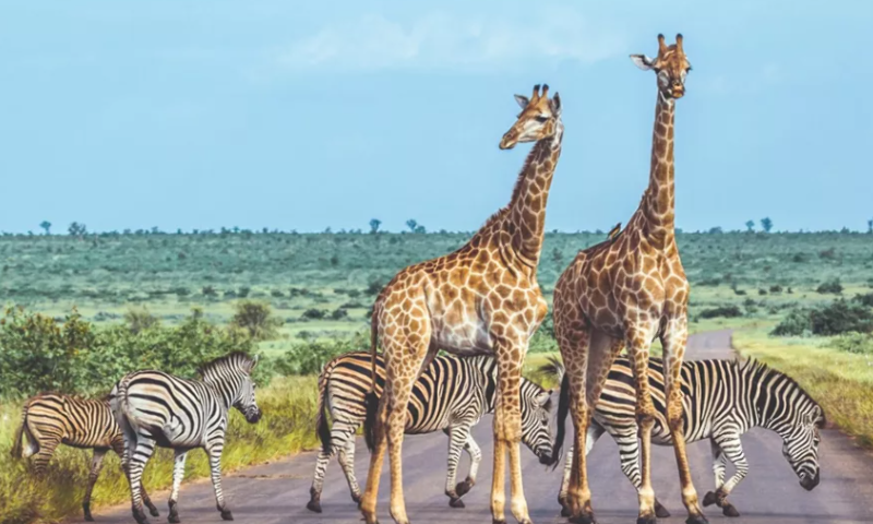 The Art of Luxury Travel