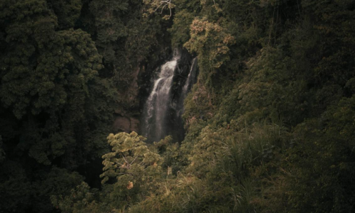 Découvrez les paradis cachés des volcans du Costa Rica : 4 merveilles incontournables