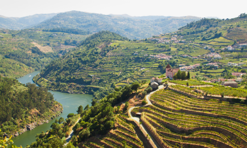Why River Cruises Are Becoming Increasingly Popular Among Travellers