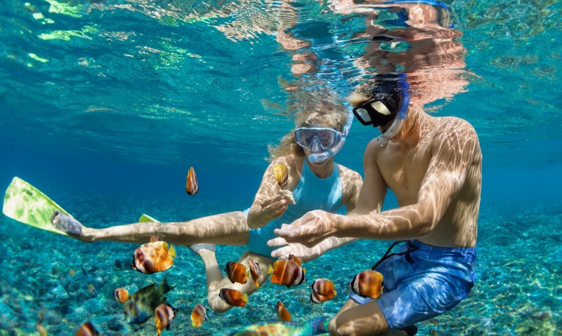 Two people wearing snorkel masks swim underwater surrounded by colorful fish in clear blue water.