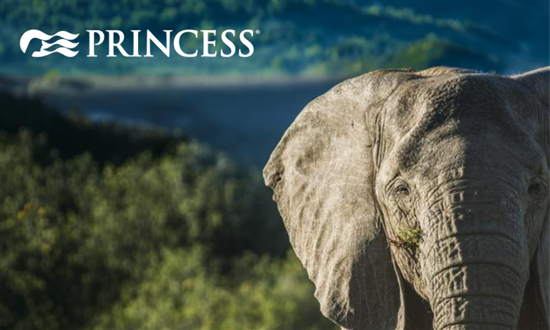 Faites le tour du monde avec Princess