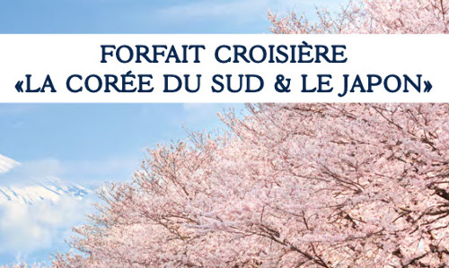 Image Alt Texte