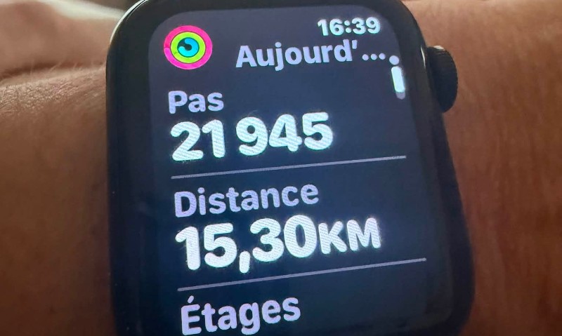 Image Alt Texte