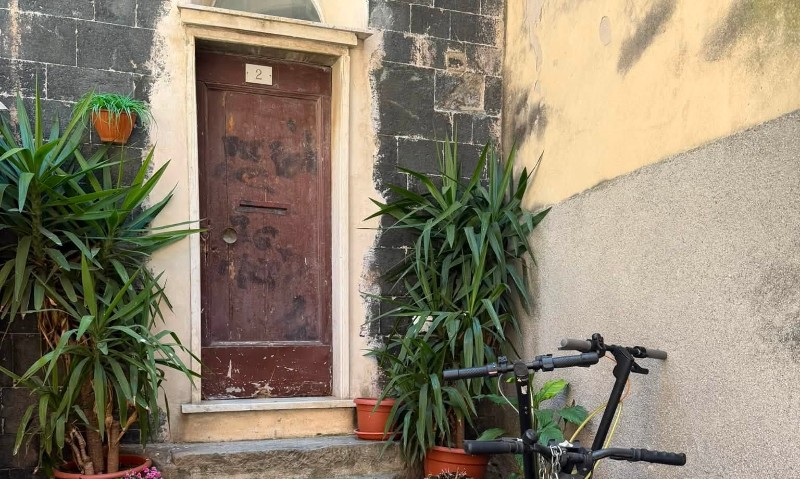Image Alt Texte