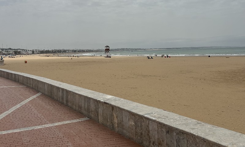 Image Alt Texte