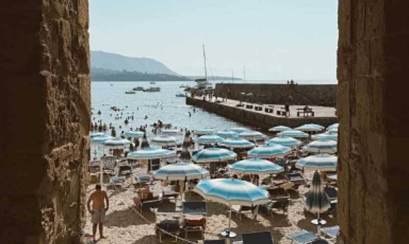 Image Alt Texte