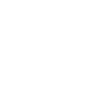 icon-waves